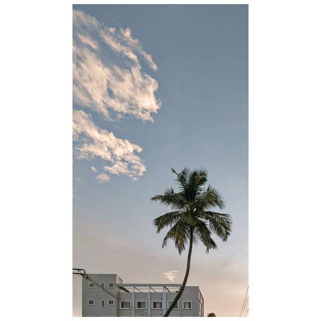 Sunset.
05.06.2020 - 18:32 Hrs.

#shotononeplus #oneplus5t #lightroommobile #polarr #mobilestreetphotographers #moodygrams #moodyports #lonetree #indiagram #indiapictures #instagram #sunset #maibhisadakchap #nustaharamkhor #shwetamalhotra03 #nvedi #persp… instagr.am/p/CBLTqpZDtwC/