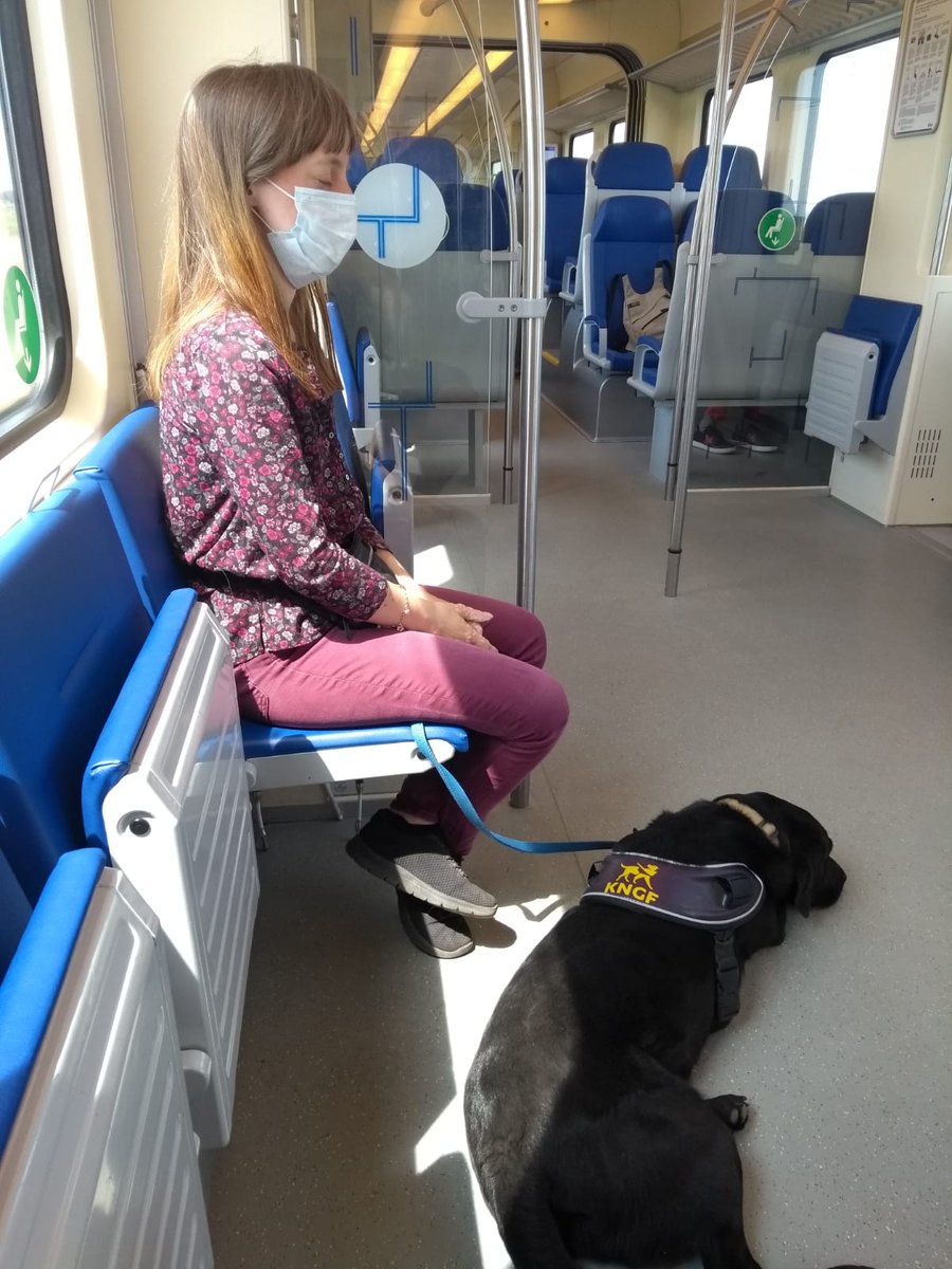 Op welke plekken mag ik zitten in de trein? Wat is de looproute op het station? De maatregelen in het OV zijn een uitdaging als je het niet (goed) kunt zien. Maar na training heeft Lisa er vertrouwen in om zelfstandig te reizen. <a href="/KonVisio/">Koninklijke Visio</a> <a href="/Visio_WD_Midden/">Koninklijke Visio Wonen & Dagbesteding Midden</a>