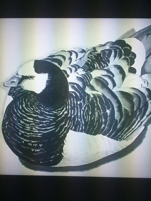 墨画のtwitterイラスト検索結果