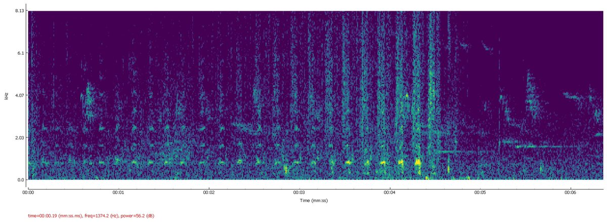There is no better way to celebrate NZ moving to alert level 1 than a #spectrogramonday quiz.
Today we'd like to test you with a characteristic sound of one of our taonga species. 🐦
Can you guess the owner of this spectrogram sound?

#makenzbirdsheard