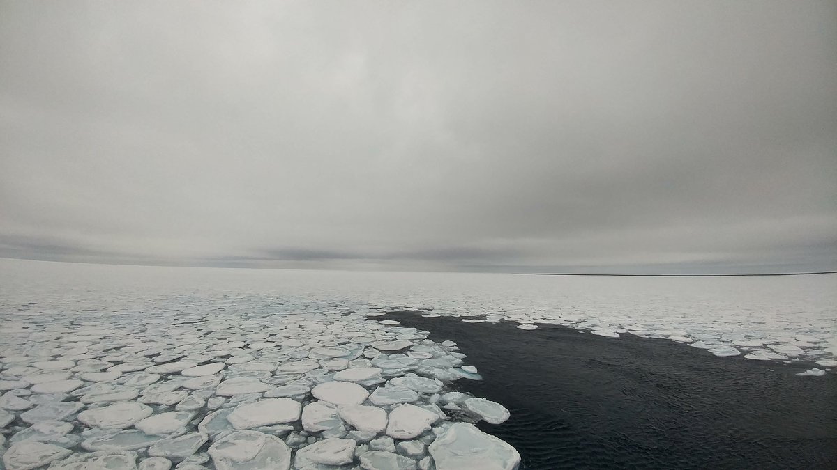 riesna19's tweet photo. The sea ice covered ocean is where my heart and soul resides. 

#WorldOceansDay https://t.co/vQeBZAU5Nf