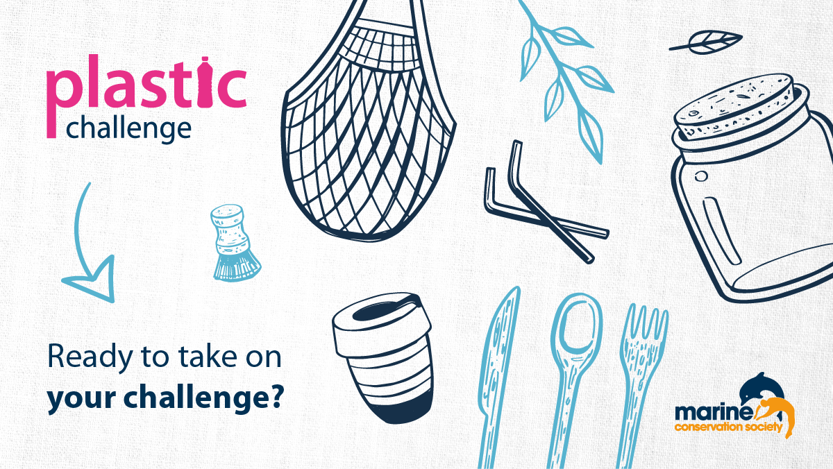 This July help us to stop ocean plastic pollution by setting yourself a #PlasticChallenge ✅ Make one change or go all in, it's up to you. Sign up now for free information, tips and ideas on cutting down plastic throughout the month of July -> mcsuk.org/plasticchallen…