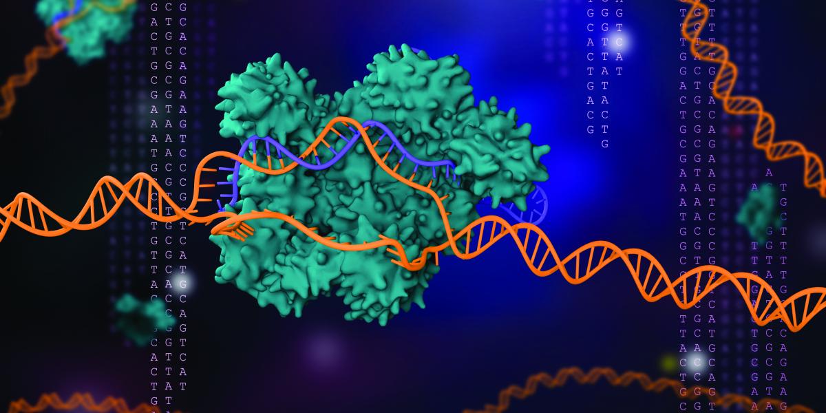 Phacilitate's tweet photo. Judd Hultquist, Assistant Professor at @NUFeinbergMed presented a wealth of data on developing a high throughput CRISPR-Cas9 platform for editing in human #Tcells and walked us through his team's strategy at #PLW2020 event. 

Find out more here: https://t.co/Vy5aPu3K6v https://t.co/nMUihH56gN