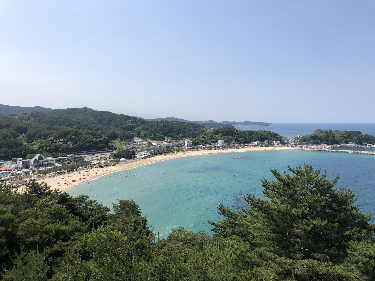 낮에 나온 달 tweet media