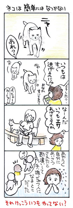 #四コマ漫画
#ネコは簡単にはなつかない 