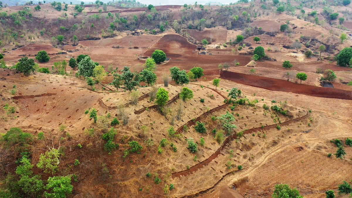 Advance work for plantation in pingot

Netrang Range