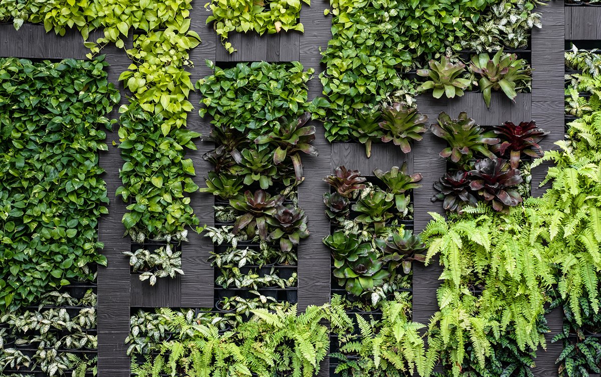 AMJAandalucia's tweet image. CIC CONSULTORES: SUBVENCIONES DE HASTA EL 50% PARA EMPRESAS DE JARDINERÍA
amja.es/cic-consultore…
#Amja #Jardineria #AndaluciaEnFlor #AhoraFloresyPlantas