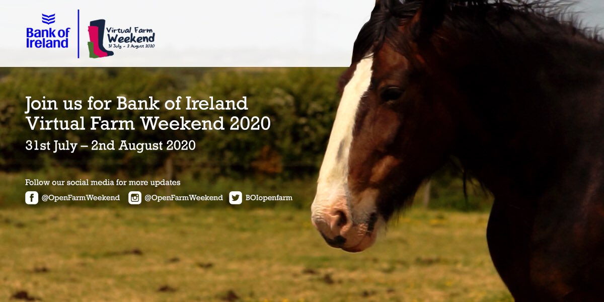 BOIopenfarm's tweet photo. .We are delighted to announce @BankofIrelandUK Open Farm Weekend will go VIRTUAL for 2020. We believe this Virtual Farm Weekend is the perfect way to showcase our local supply chain &amp; farming food heroes! New date is Friday 31 July -Sunday 2 August. Stay tuned for updates! https://t.co/hlxv04P1Ww