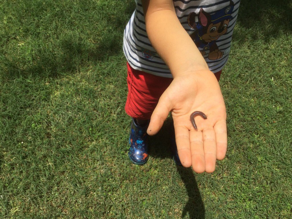 Foundation2TBS's tweet photo. Continuous learning- Linked to our topic ‘Plants and Flowers’, children listened to the story ‘Yucky worms’ and had an amazing experience exploring in their garden. https://t.co/IN1xCN5aXk