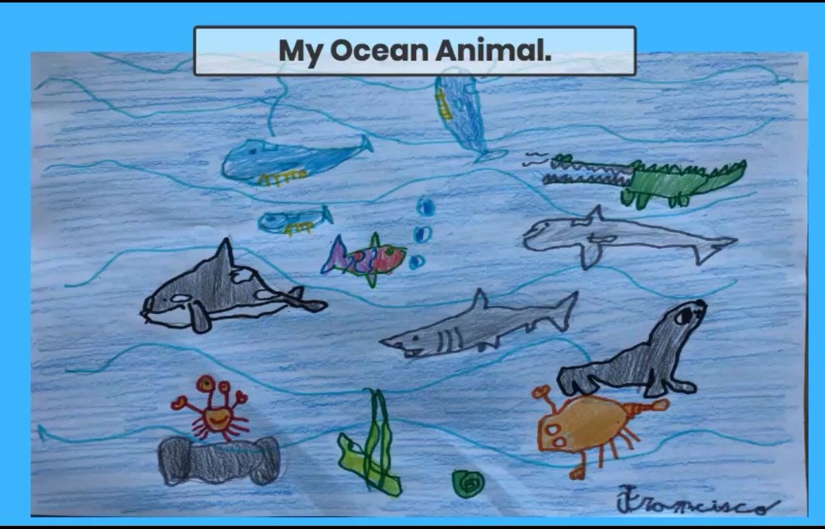 ReptonADYr2's tweet photo. To celebrate @WorldOceansDay Doves class used their creative time to draw some of their favourite ocean animals. #RADRemoteLearning #WorldOceanDay #DovesClass https://t.co/gADwqKszhb