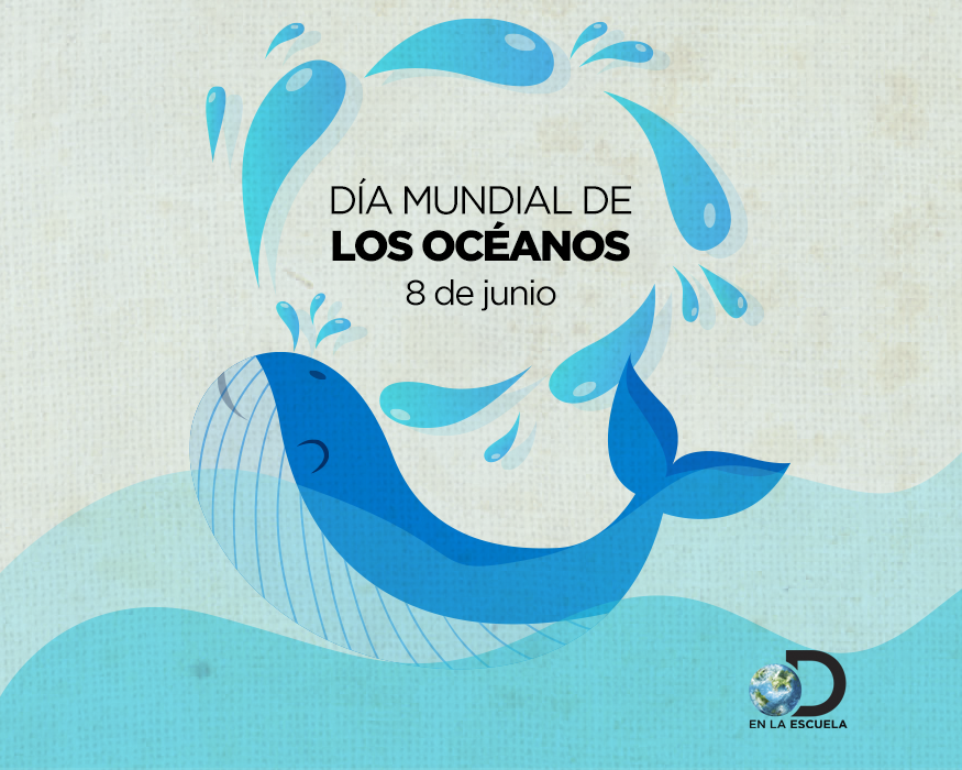 Discoveryesc's tweet photo. ¿Sabías que los océanos son los pulmones de nuestro planeta y que generan la mayoría del oxígeno que respiramos? 
👉  Hoy 8 de junio queremos celebrar juntos la belleza, riqueza y potencial de los océanos. 🌊🐠🐙 https://t.co/d8Mze92514