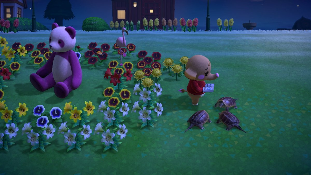 babao_pt's tweet photo. #AnimalCrossing #ACNH #NintendoSwitch https://t.co/Uq7Ul51HQQ