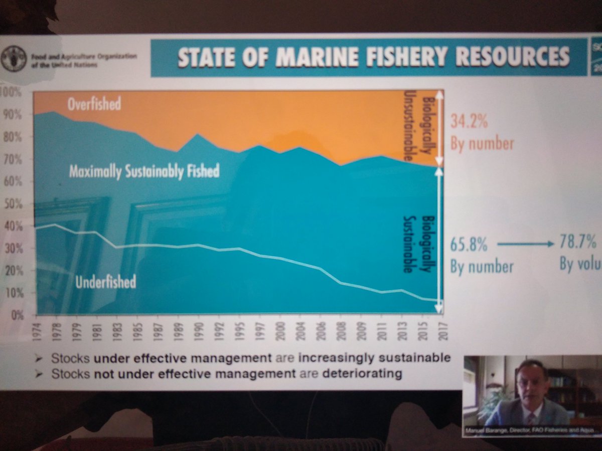 agata_mrowiec's tweet photo. #SOFIA2020 Report points out to 34.2% global stocks overfished, which represents 1.1% deterioration compared to #SOFIA2018 Report . Progress towards achieving #SDGs by 2030 not fast enough, says @Manu_FAO https://t.co/gqp0sf8e47
