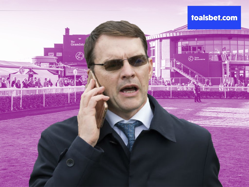 Toals Bookmakers tweet media