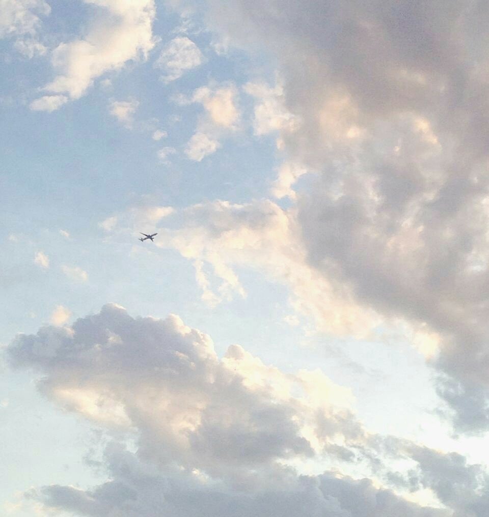 _05pii's tweet photo. 𓂃 ⋆

       𝐀𝐧𝐢𝐦𝐚𝐥 𝐂𝐫𝐨𝐬𝐬𝐢𝐧𝐠 🏹🕊 ￤ 20↓

RT中心に気になった方お迎えいきます☁*°

#あつまれどうぶつの森自己紹介カード #あつ森自己紹介 #あつ森フレンド募集 #あつ森履歴書 #あつ森民と繋がりたい https://t.co/W4W9sXqfsH