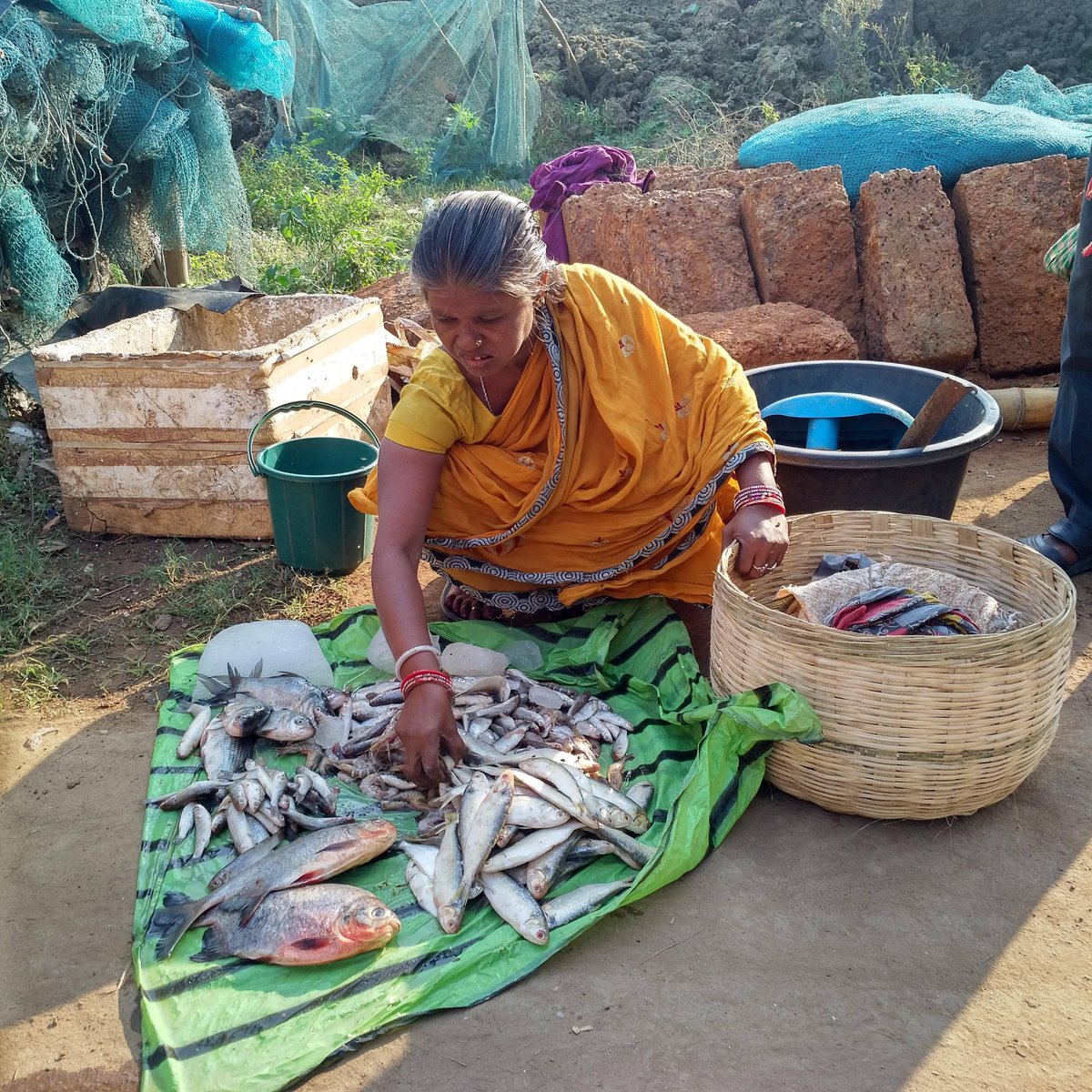 V2VPartnership's tweet image. @V2VPartnership (Vulnerability to Viability: A Global Partnership to Build Strong Small-Scale Fisheries Communities) is happy to announce its official start on @WorldOceansDay supported by @SSHRC_CRSH Canada representing 100 partners in Asia, Africa &amp;amp; internationally