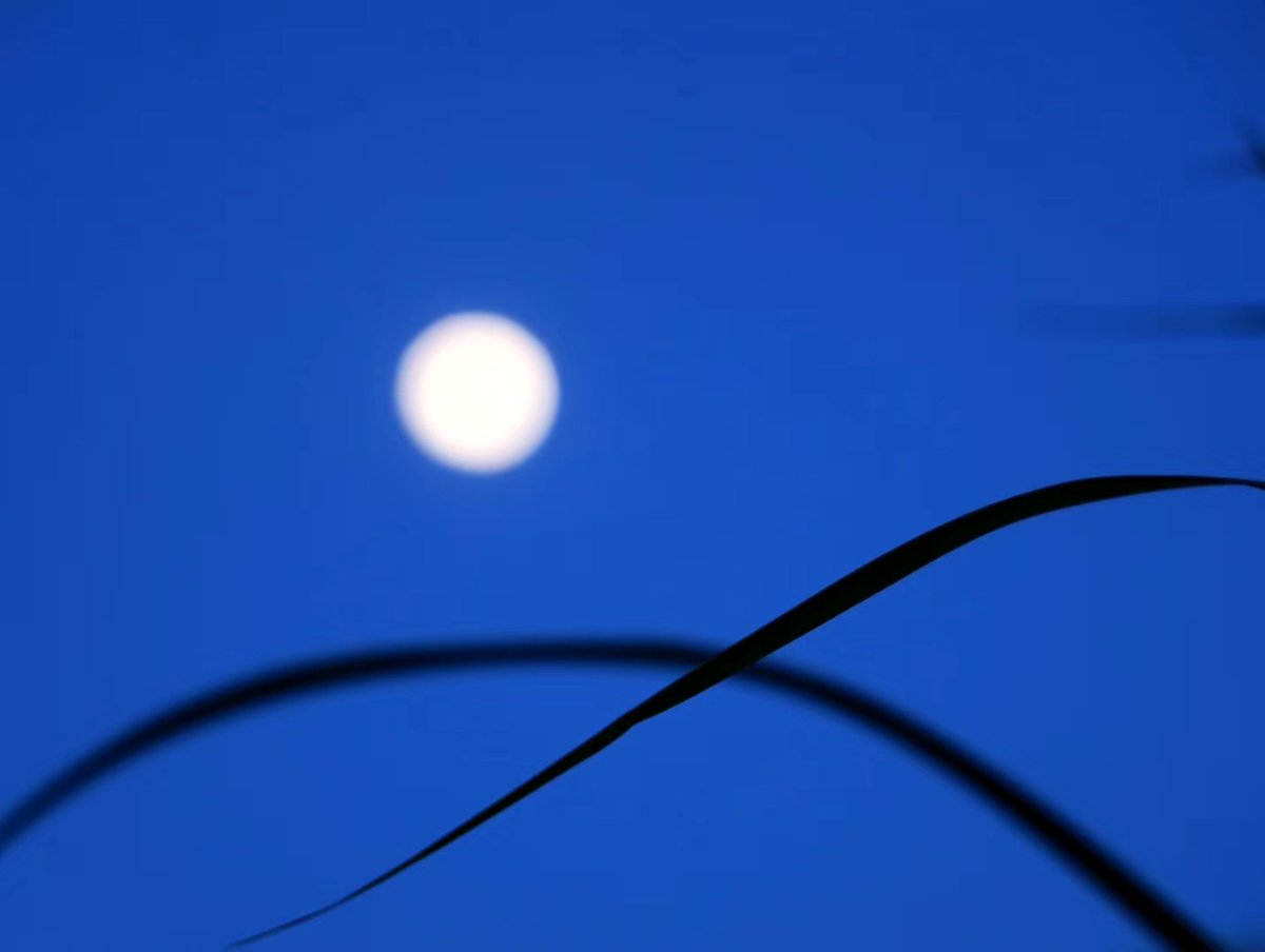 BJTOPDIZEL's tweet image. New Bosch injector 0445120187 for Cummins 6.7L, 2013-2018 Dodge. Its other numbers 0986435573/5256034/F00E200419/4983514
#Boschinjector #Cumminsinjectors #inyectores #инжектор #форсунка #Bosch0445120187 #Bosch0986435573 #Cummins5256034 #F00E200419 #Injector4983514 #Dodgeinjectors