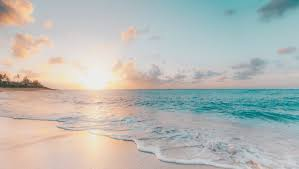mikeystrang's tweet photo. It was great on #WorldOceanDay to discuss Green / Blue recovery with youthwork and sector professionals at the first @YouthLinkScot Climate Change Policy Seminar.
@OnOurWavelength @mcsuk @nbyp00 @cathgem2000 @KaneKane2014 @AmyECalder #YLSPolicy #ClimateAction https://t.co/Aj99QBLxSc