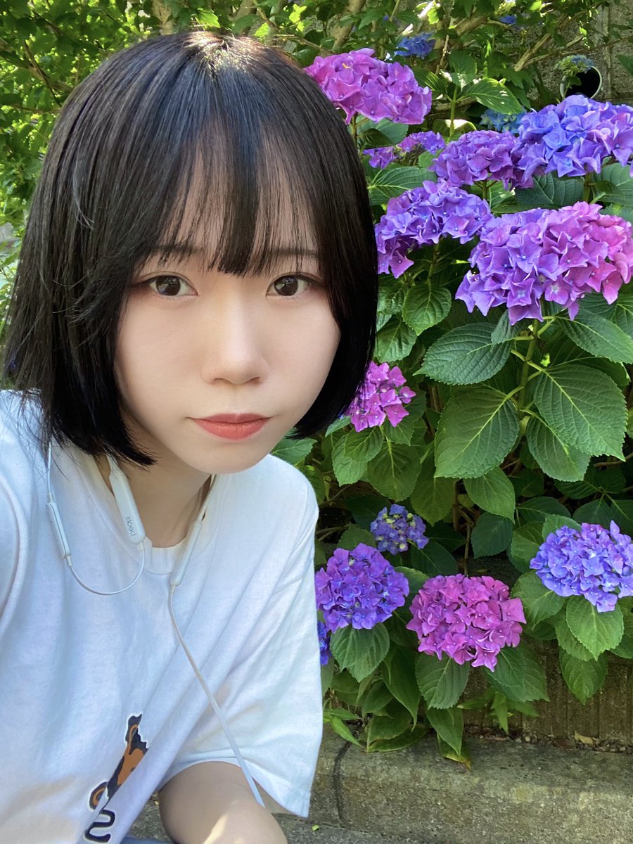 わか ヌュアンス בטוויטר 紫陽花あったから撮ったけど覇気がない顔してるな わか ヌュアンス בטוויטר 紫陽花あったから撮ったけど覇気がない顔してるな