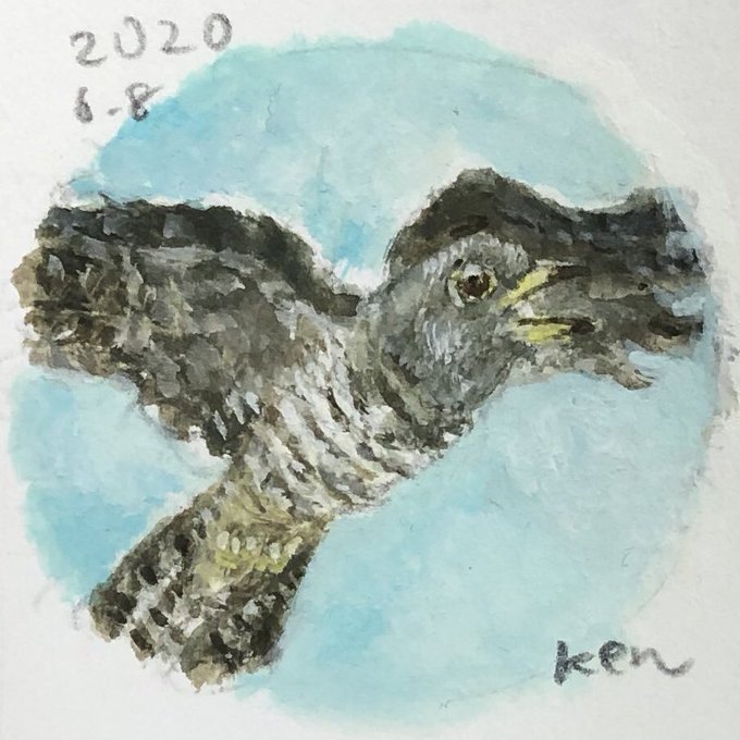 鳴き声のtwitterイラスト検索結果 古い順