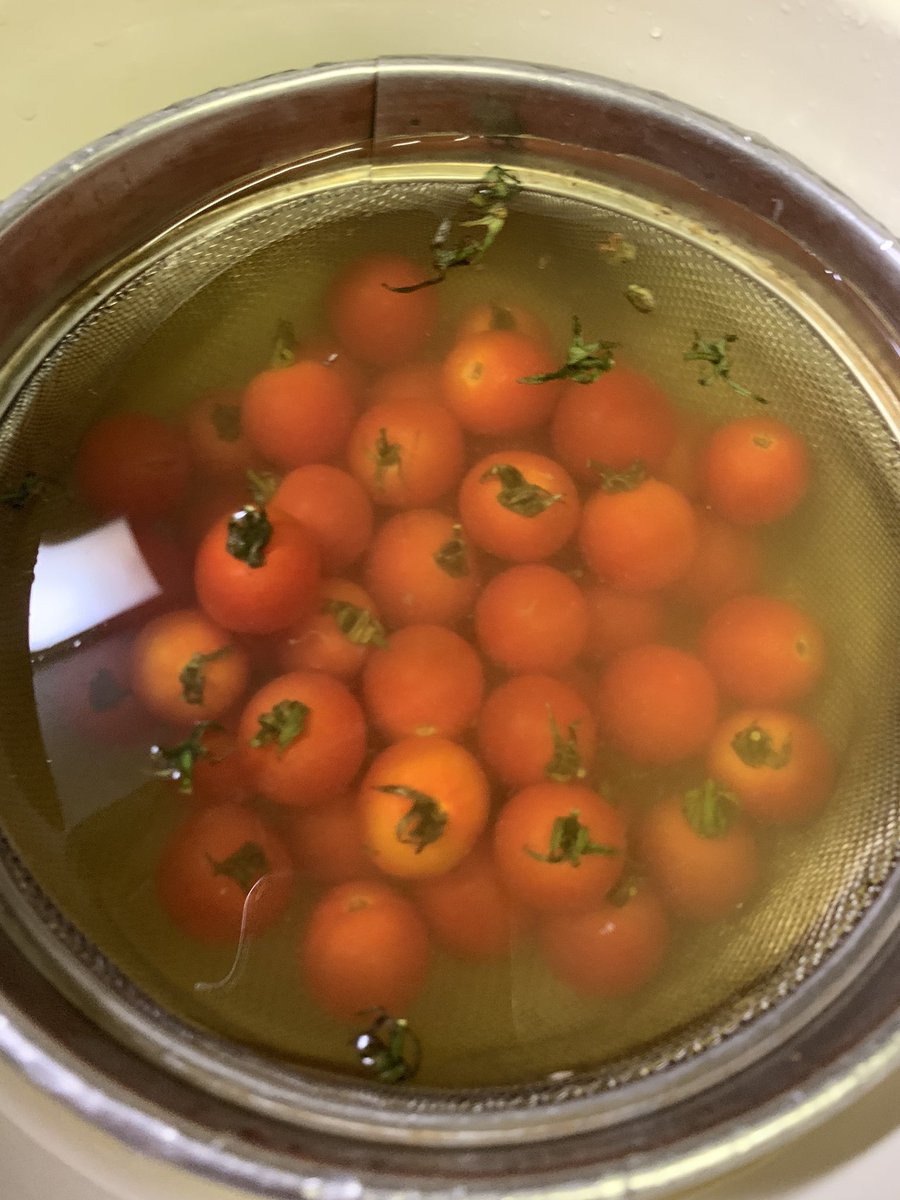 ホタテパウダー