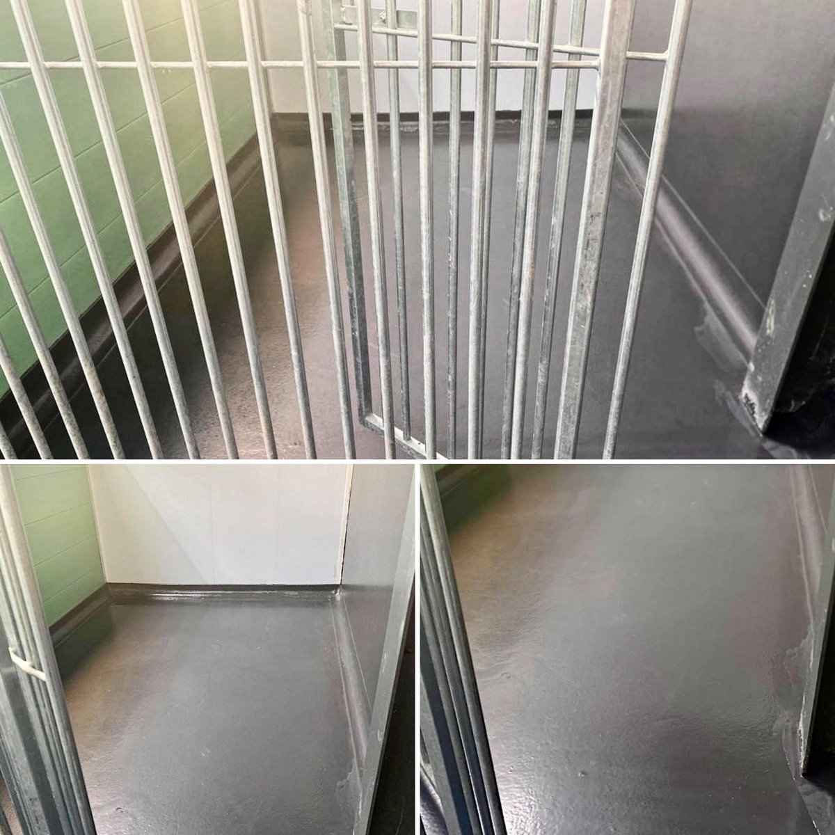 OnlineResins's tweet photo. Animal-safe flooring installation to a local kennel site using our Strongcoat - high build epoxy paint in colour Charcoal with matching skirtings. Works completed in February 2020. #epoxyfloor #kennels #animalsafeflooring #resinfloor https://t.co/3VTCVRpxK3
