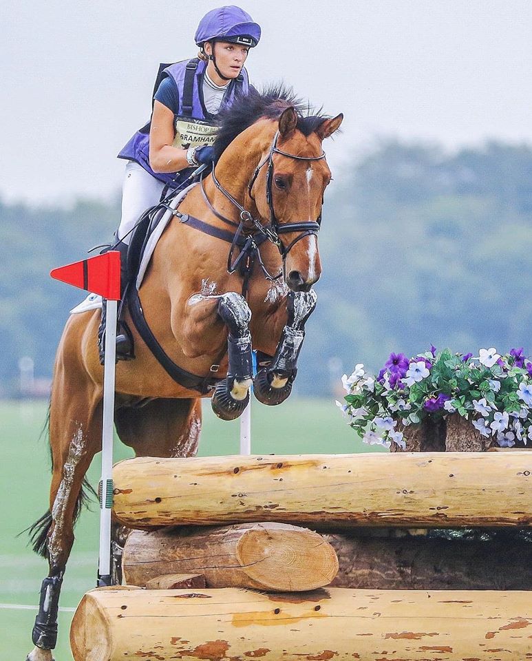 HORSE SCOUT GROUP tweet media