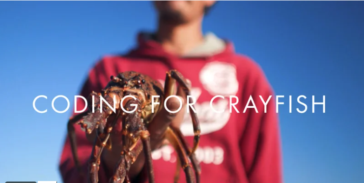 ACDI_UCT's tweet photo. Communities in the red and a fishery on the brink of collapse #CodingforCrayfish explores the notion of #RethinkingSustainability through #tech, told through the Story of traditional fisher David Shoshola. https://t.co/HCu8tHvt6o
@Sergeraemaekers @abalobi_app @UCT_news @CapeTalk https://t.co/nXe6KaYw2x