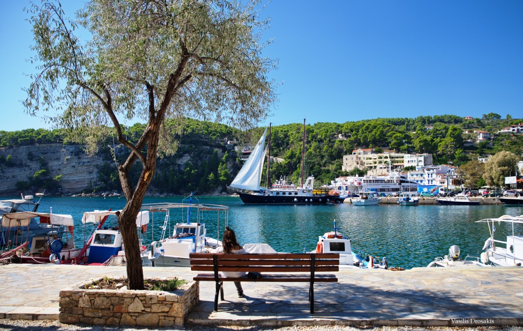 VisitAlonissos's tweet photo. Calm day at the harbor of Alonissos.

https://t.co/JlV7FzuOWX

#visitalonissos #alonissos #alonissosisland #sporades #visitgreece #visitsporades #grecia #greekislands #greece #beaches #alonissosbeach #vacation #holidays #harbor #calm https://t.co/4E085JcYU5