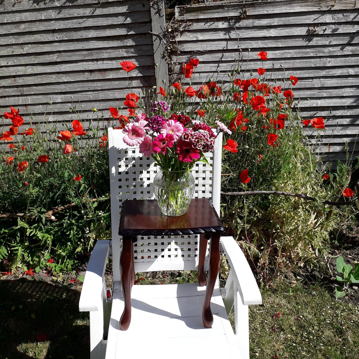 truecertainty's tweet image. Whatever it takes. #business, #yoga. certaincertainty.com