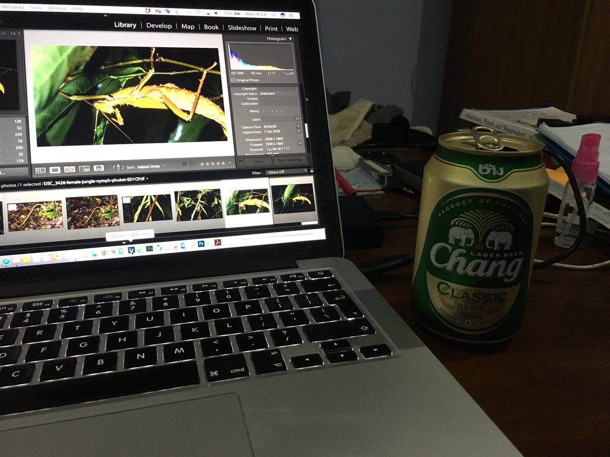When you’re all set for some nighttime wild photography, and you have rain and thunder for three hours. Back to a Chang beer and lightroom editing.