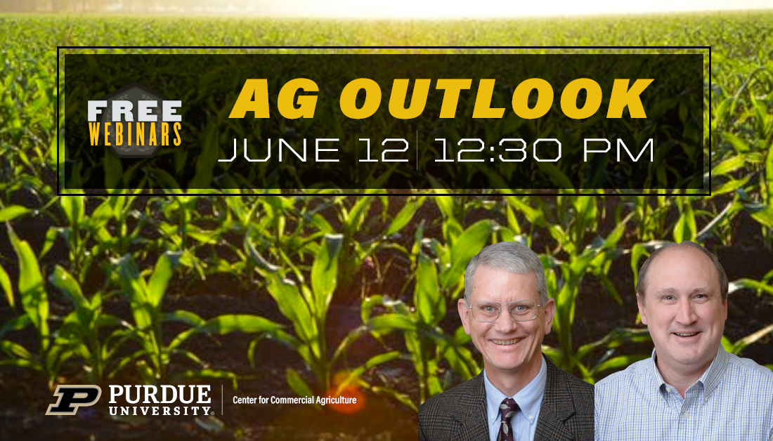 Purdue Center for Commercial Agriculture (@pucommercialag) on Twitter photo Join <a href="/PurdueAg/">Purdue Agriculture</a> economists <a href="/JamesMintert/">James Mintert</a> & Michael Langemeier this Friday for an updated #ag #outlook. The webinar will include info from USDA's June WASDE report, #corn and #soybeans profitability estimates, & details on USDA's CFAP program.
Register at purdue.ag/webinar061220 Join <a href="/PurdueAg/">Purdue Agriculture</a> economists <a href="/JamesMintert/">James Mintert</a> & Michael Langemeier this Friday for an updated #ag #outlook. The webinar will include info from USDA's June WASDE report, #corn and #soybeans profitability estimates, & details on USDA's CFAP program.
Register at purdue.ag/webinar061220