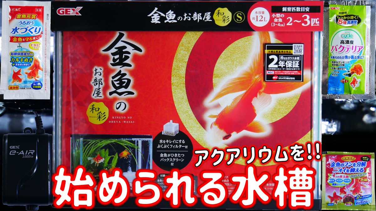 ふぶきテトラ Fubuki Tetra 今回は Gex 金魚 のお部屋和彩sの開封及び設置と解説をするお話です 初心者の方でも簡単に始められる水槽セットです 解説に熱が入った結果長めですが 見てね T Co gvcdowto