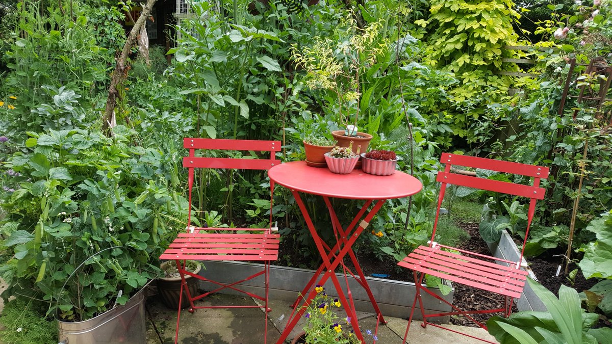 NorthantsNGS's tweet photo. 'Briarwood', 4 Poplars Farm Road, Barton Seagrave, Kettering, NN15 5AF will be opening their garden for @NorthantsNGS @nationalgardenscheme on Sunday 14th June. Tickets are available. To allow for social distancing all visitors must pre-purchase tickets https://t.co/UdL4yb3JML https://t.co/B7GuRWPZny