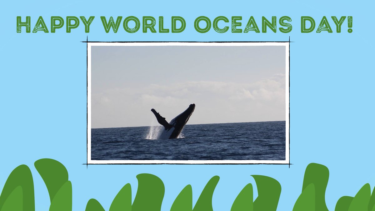 travstravels's tweet photo. Happy World Oceans Day TRAVelers! Learn more at https://t.co/dbA77T4F5k 

Is there an ocean animal you would like to learn more about? Leave a comment below! #worldoceansday https://t.co/yDx5Ll1tnZ