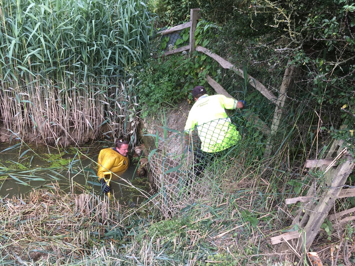 johnoflynnEA's tweet photo. #PevenseyFieldTeam stay on #RiverCuckmere, this time clearing away vegetation &amp; completing maintenance of flap valves in #Litlington, reducing local flood risk. Plus 2m+ team briefing. #floodaware #AssetManagement @wealdendistrict @EastSussexCC @sdnpa https://t.co/Hw3SYRjqhy