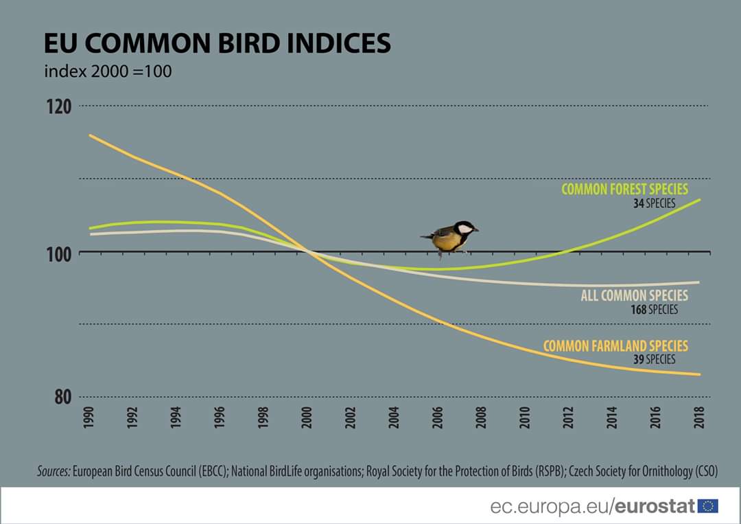 ObservadoEs's tweet photo. Contar pájaros cuenta. Gracias a todos los voluntarios que envían sus observaciones se pueden hacer estudios de tendencia de las poblaciones de aves de nuestro entorno, como el que acaba de publicar EuroStat con la PECBMS. https://t.co/2n3nBiKTKd