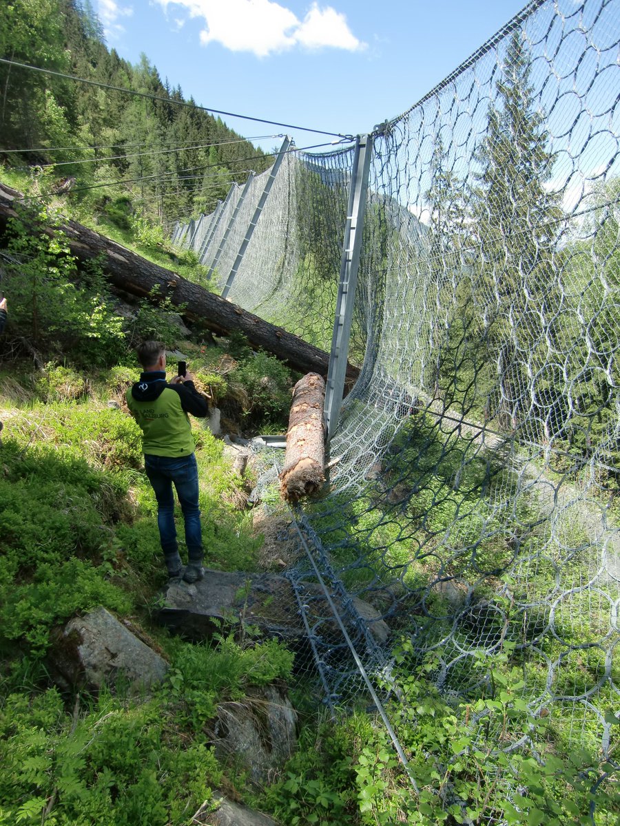 geobrugg's tweet image. Austria, Stubach: #RockfallBarrier against tree *** This RXE-2000 barrier is over 5 m high. The tree was about 22 m high and weighed nearly 9 tons. The replacement of the affected rings and the post is planned. The suspension rope will not be damaged. #ringnet #TreeImpact