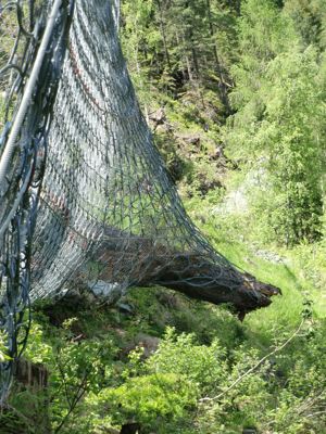 geobrugg's tweet image. Austria, Stubach: #RockfallBarrier against tree *** This RXE-2000 barrier is over 5 m high. The tree was about 22 m high and weighed nearly 9 tons. The replacement of the affected rings and the post is planned. The suspension rope will not be damaged. #ringnet #TreeImpact