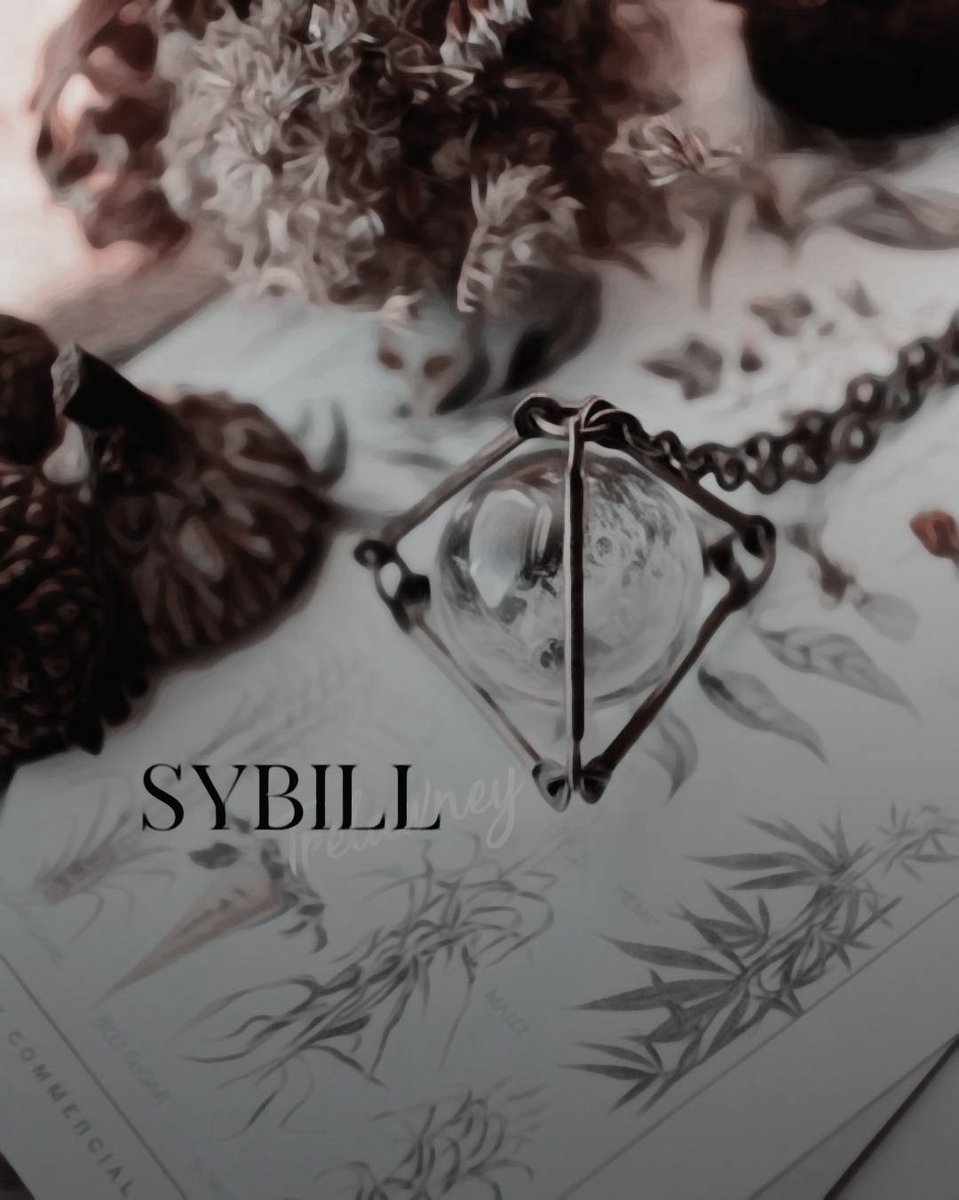 Warwizards. tweet media