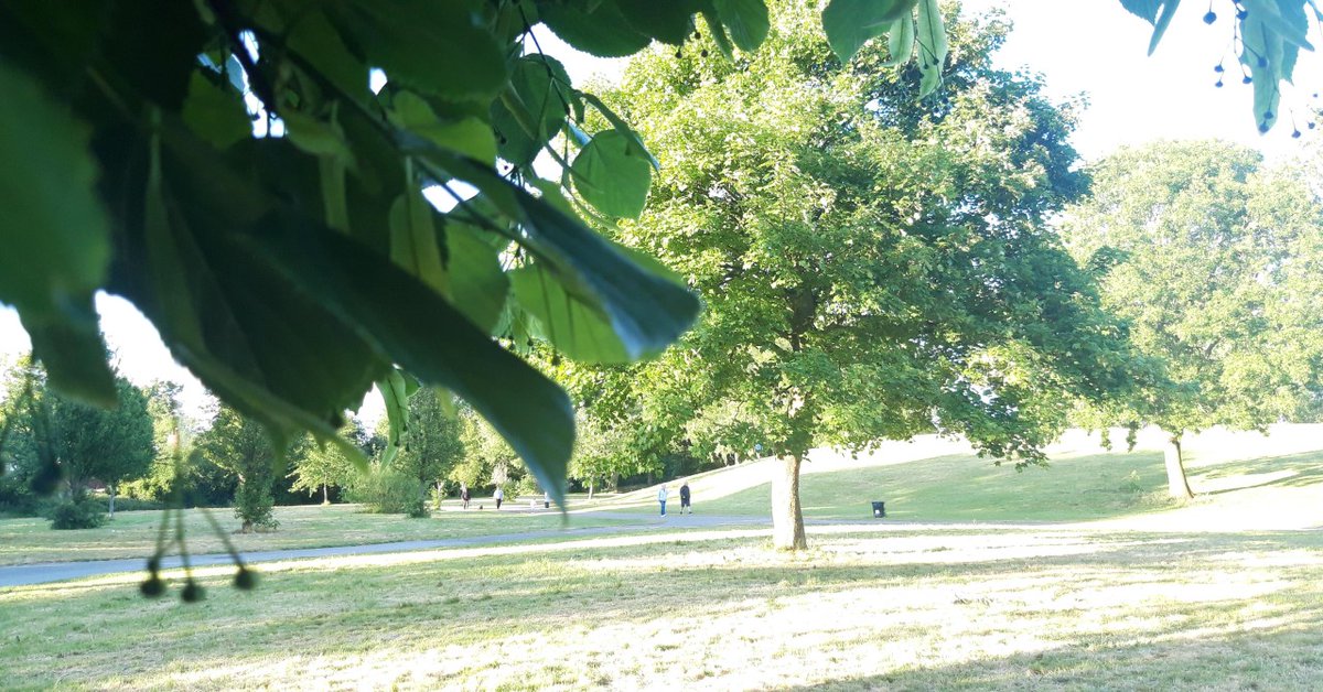 MissDrinkwater's tweet photo. Photography legend Ibrahim Muhsin (Y9) has been experimenting with light, contrast, shadow and focus. Even though the weather has been more changeable recently, this series showcases the joyful sunny spells we've had. Great shots, well done! #proudteacher @MeacPrime @MEACentral https://t.co/daBeDYgxay