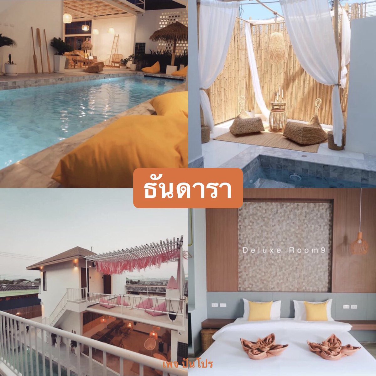 ปันโปร tweet media