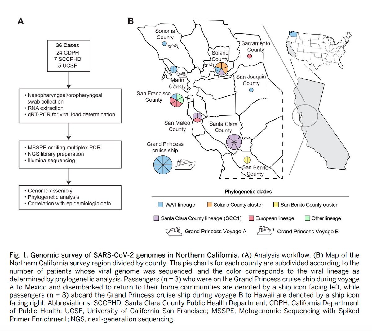 ScienceMagazine's tweet image. Analysis of #SARSCoV2 genomes from a small number of #California-based patients suggests CA's #COVID19 epidemic is less from community spread of the virus &amp;amp; more from introductions from state-to-state &amp;amp; international travel. fcld.ly/uycuaxm
