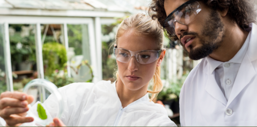 USDA_NIFA's tweet photo. ICYMI: Funding Opportunity: @USDA_NIFA's Food &amp; Ag Sciences National Needs Graduate &amp; Postgrad Fellowship Grants Program supports training students for master's &amp; doctoral degrees in food, Ag &amp; natural resource sciences. View RFA/Apply: https://t.co/qBH8VY8Sgs https://t.co/y3h9rnoao5