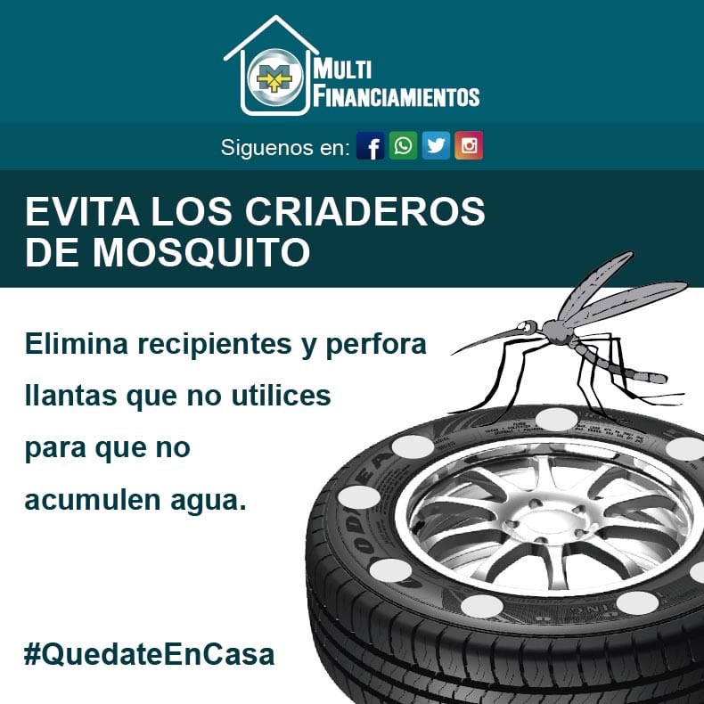 mfpty's tweet image. #MultiTips 

Evita los criaderos de mosquitos 
#multifinanciamientos #quédateencasa #proteccion #seguridad