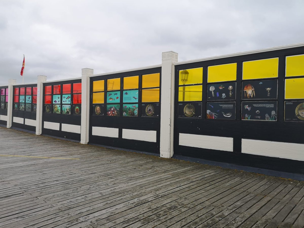 Creative Waves tweet media