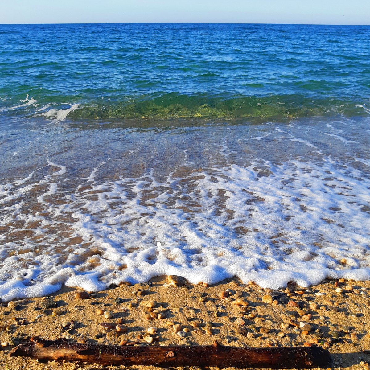 BcnPloggingCong's tweet photo. 🌊 R E S P E C T 🌊
.
Dia Mundial dels Oceans
.
#diamundialdelsoceans
#diamundialdelosoceanos 
#worldoceansday #ocean #oceanos #plogging #bcnploggingcongress #ploggingday #respect #respecte #respeto #moutepelmar https://t.co/9CZzJyul3E