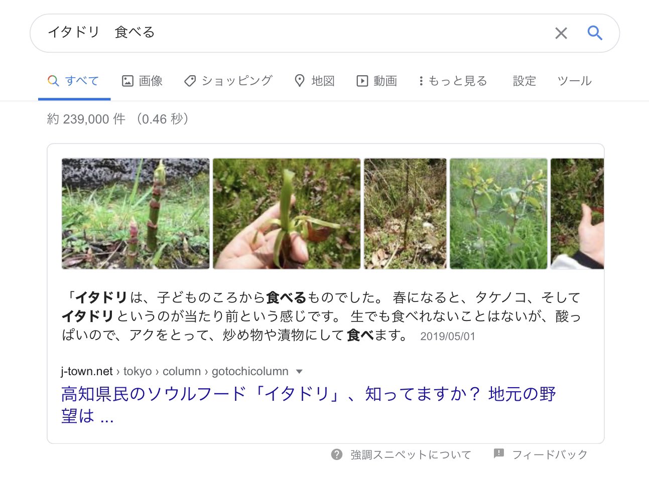 稲田 64w4d イタドリ食べるのが全国区じゃないどころかソウルフード言われてて草 T Co Lhuuqlbtal Twitter