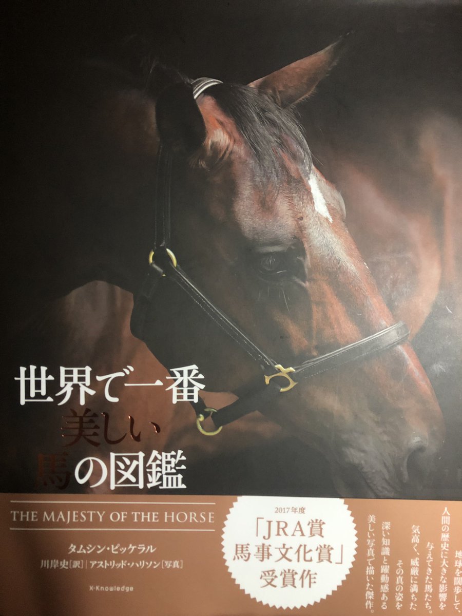 マヤ 欲しかった本 届いた 世界で一番美しい馬の図鑑 これの猫版を昔彼氏にあげた マヤ 欲しかった本 届いた 世界で一番美しい馬の図鑑 これの猫版を昔彼氏にあげた