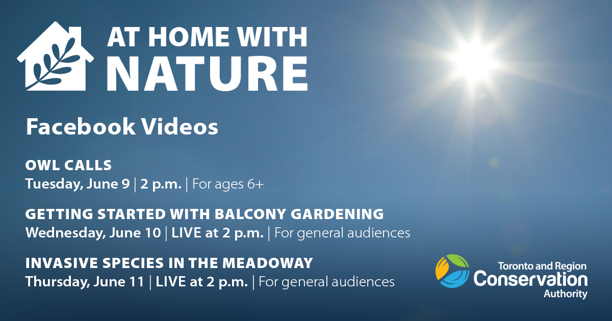 Join us this week for our #AtHomeWithNature online educational videos, activities, and resources. We will be starting the week off learning about Owl calls!